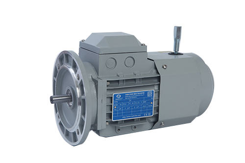 1606724622512775.jpg 银色B5法兰立式BMD直流刹车电机.JPG